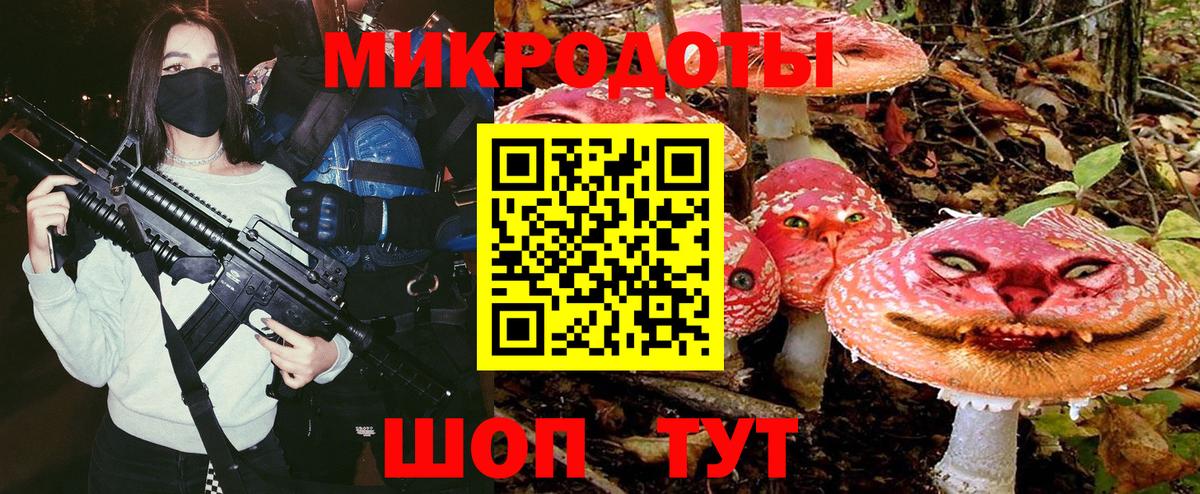 Балтийск  Псилоцибиновые грибы Psilocybine cubensis  Вход с VPN 