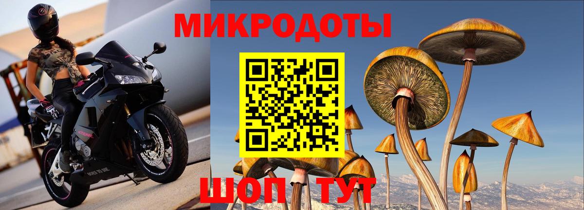 Галлюциногенные грибы GOLDEN TEACHER Балтийск